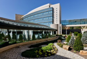 Healing Garden
